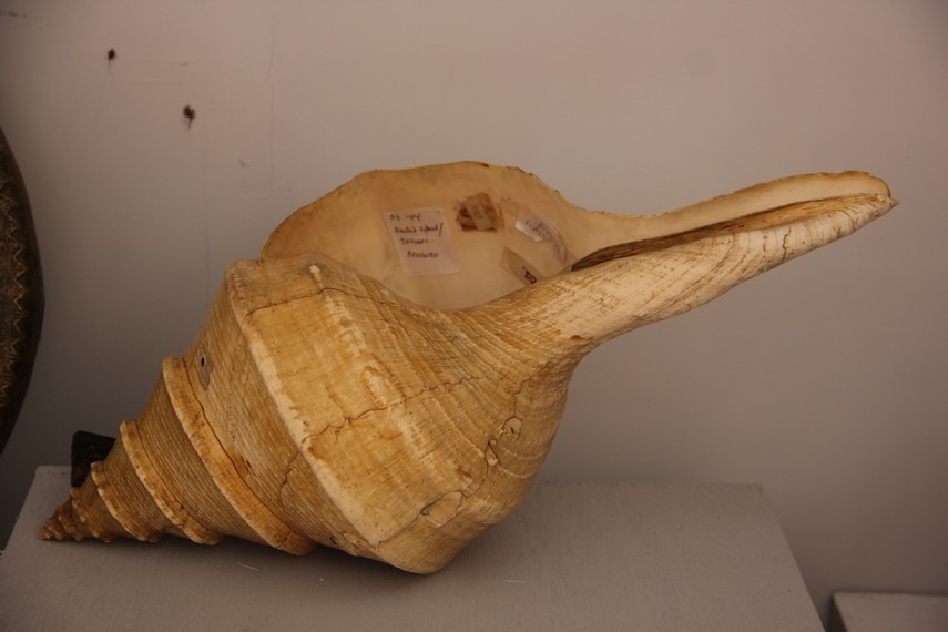 Tahuri