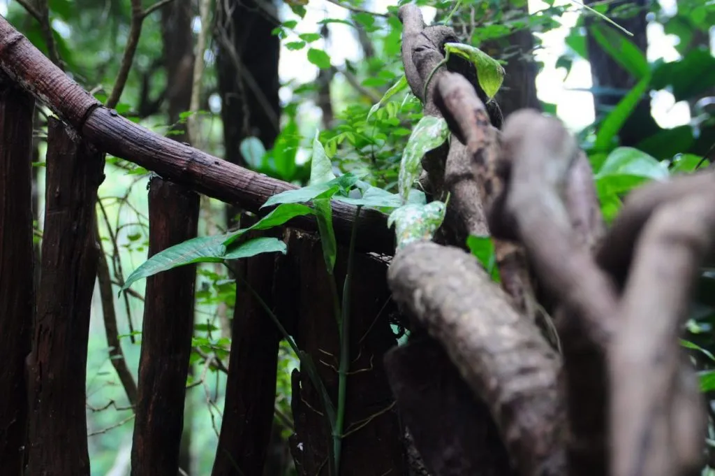 The Cool Nature Tour In Yogyakarta