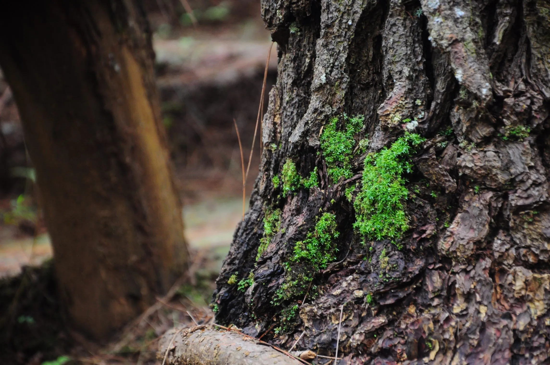 5 Tips Hunting Foto Kalau Lagi Sendirian