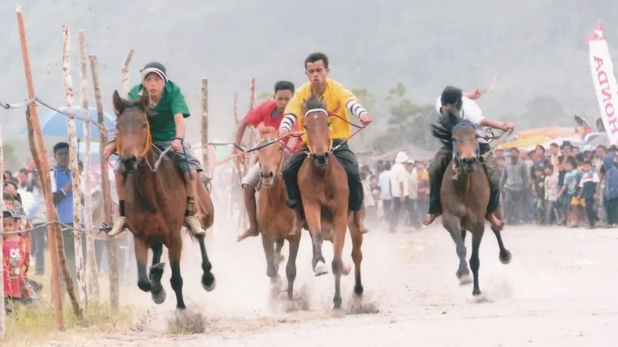 Balap Kuda Tradisional Aceh, Gayo